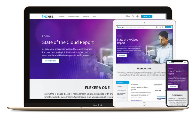 Screenshot of Flexera website.