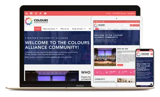 Screenshot of Colours Alliance website.