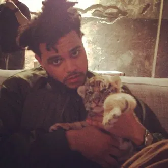 The Weeknd