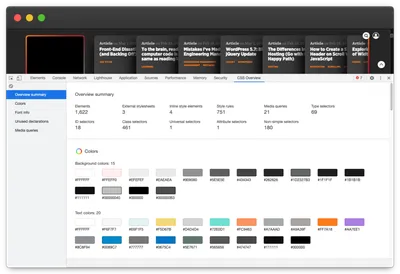 Screenshot of DevTools CSS Overview.